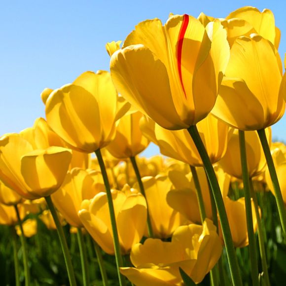 Meet your Posher, Karin - Picture 1 of 1